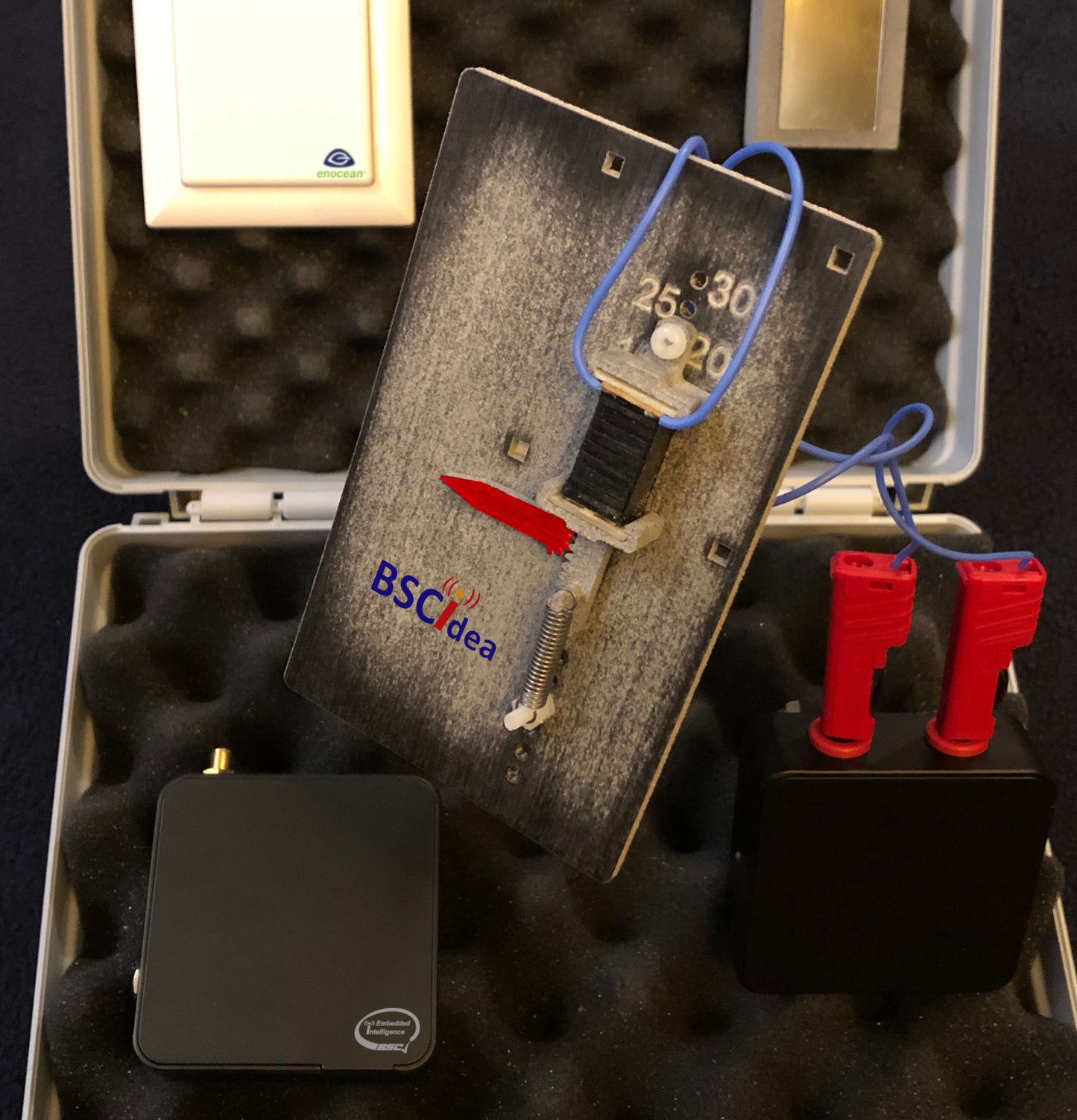 BSCiDEA Development Kit